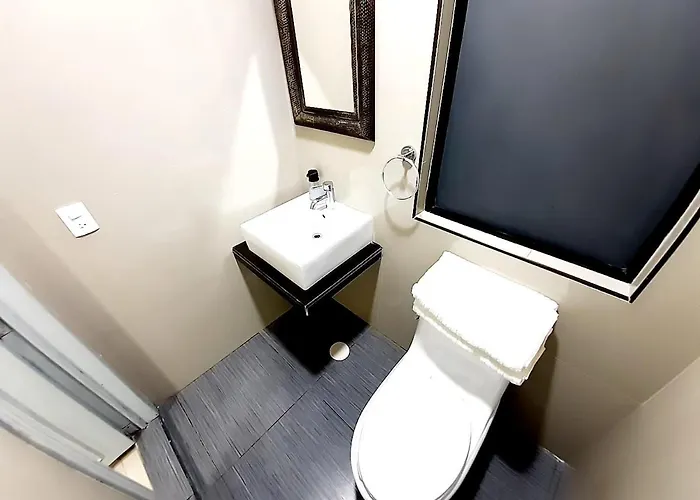 Casa Colibri Guest house Mexico City