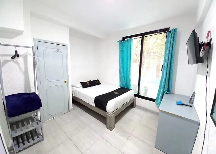 Casa Colibri Guest house Mexico City