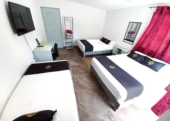Casa Colibri Guest house Mexico City