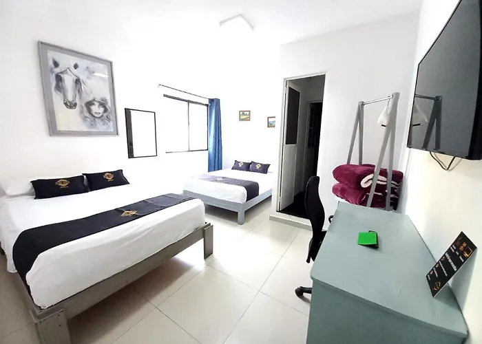 Casa Colibri Guest house 4*