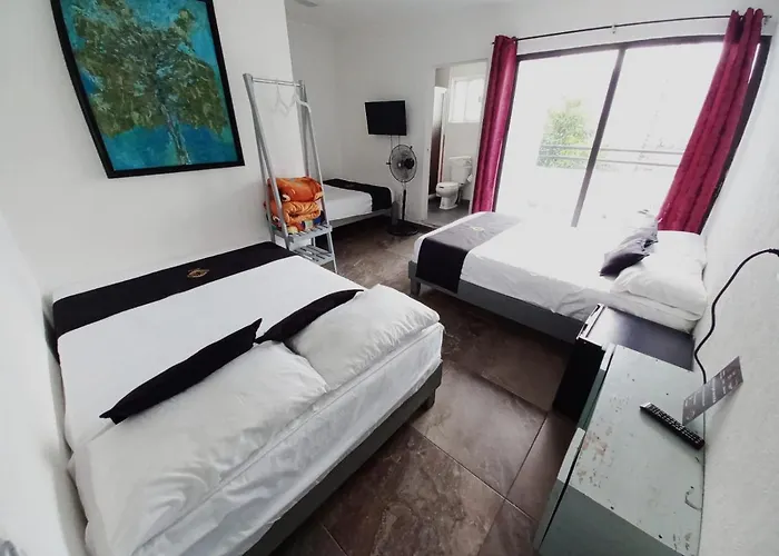 Casa Colibri Guest house Mexico City
