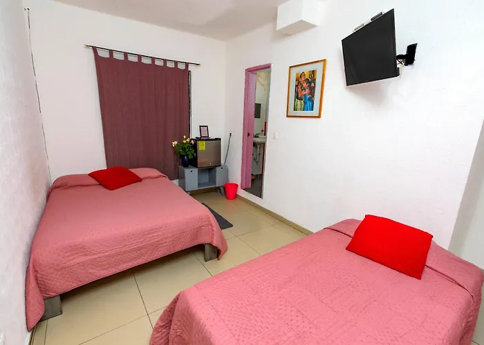 Casa Colibri Guest house Mexico City
