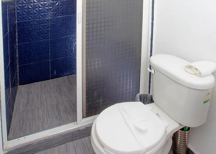 Casa Colibri Guest house Mexico City